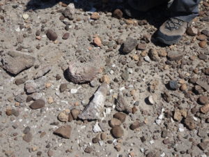 We later learned that this was likely a pile of elephant bone fragments